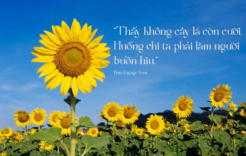 font chu in hoa dep An Khanh