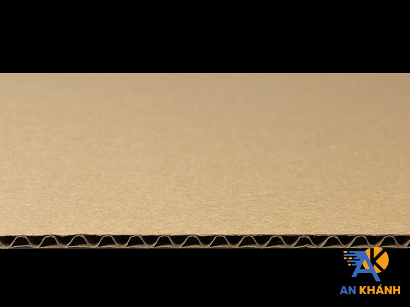 dac-diem-cua-carton-song-b-1-inankhanh