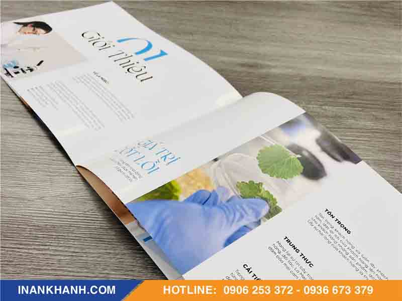 Mẫu catalogue giấy coucher