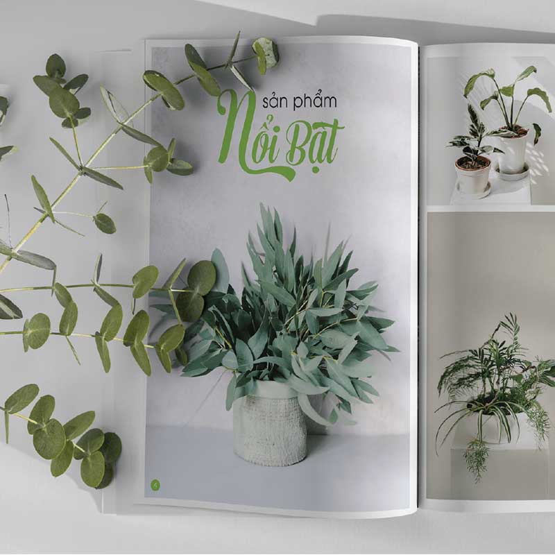 In Catalogue Lay Lien