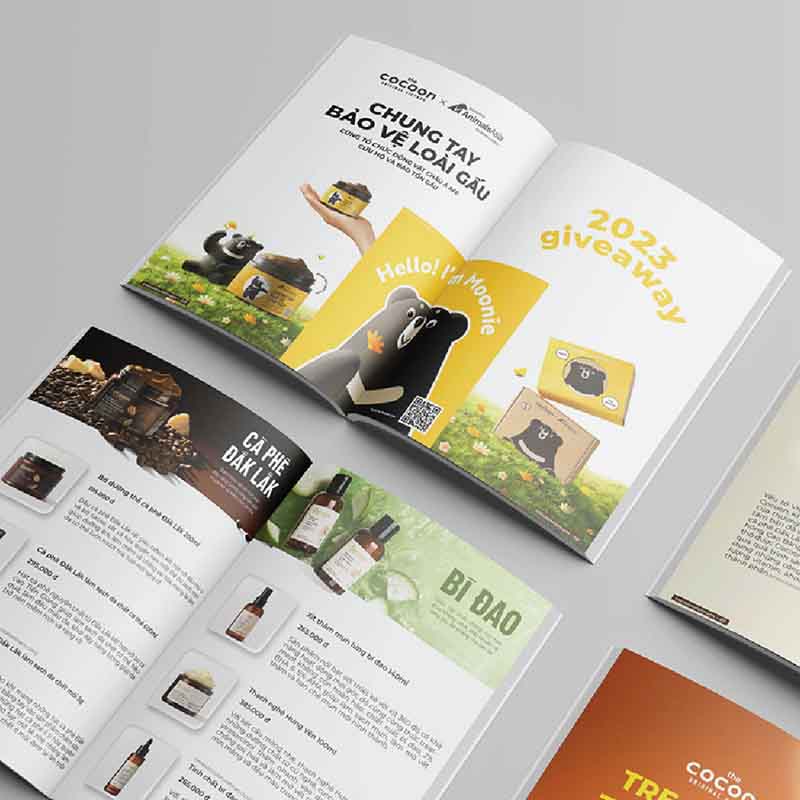 Mẫu in catalogue đẹp