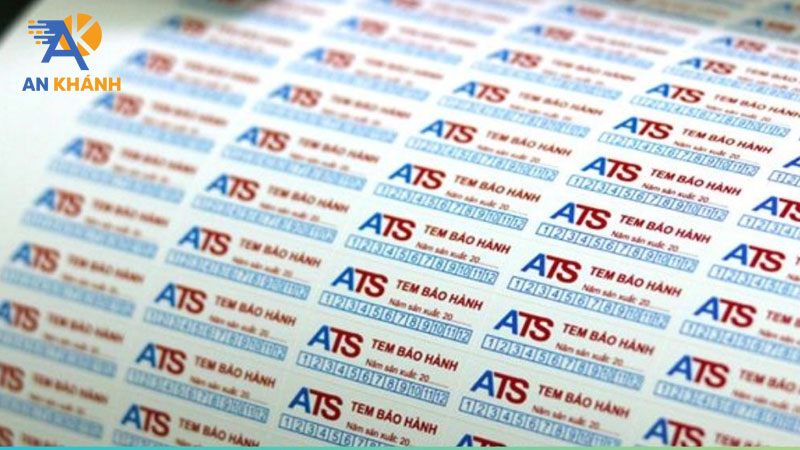 tem-vo-la-gi-cong-dung-va-cach-nhan-biet-tem-vo-chuan-inankhanh